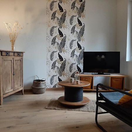 LOUHANS Les Petites Arcades avec ses deux appartements coté seille et coté jardin Esterno foto