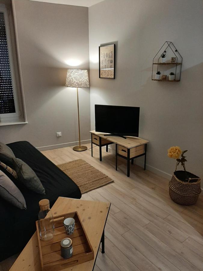 LOUHANS Les Petites Arcades avec ses deux appartements coté seille et coté jardin Esterno foto
