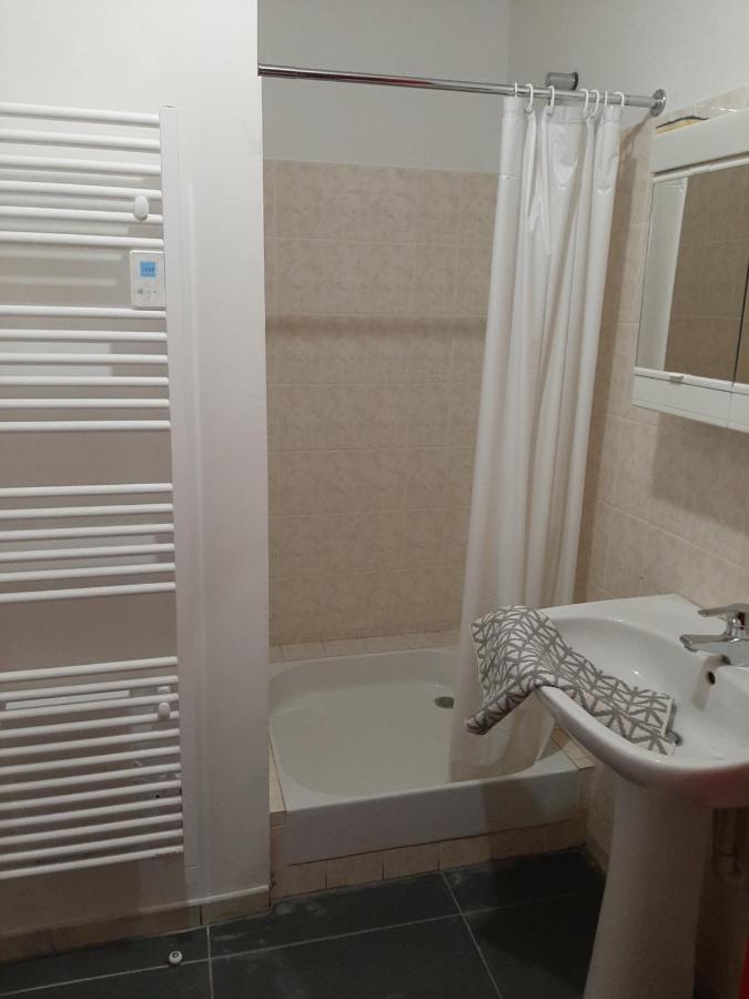 LOUHANS Les Petites Arcades avec ses deux appartements coté seille et coté jardin Esterno foto