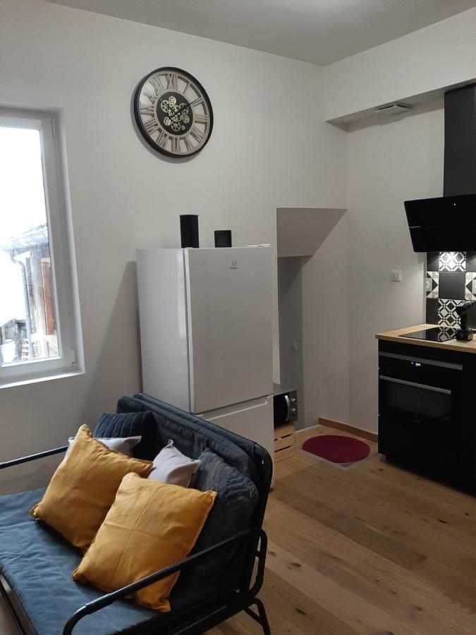 LOUHANS Les Petites Arcades avec ses deux appartements coté seille et coté jardin Esterno foto